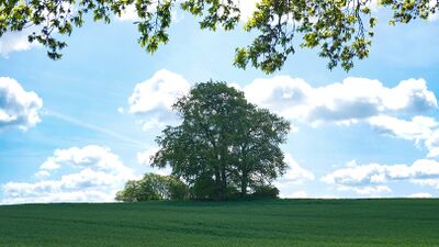 Hünengräber Liepen 9 1.jpg