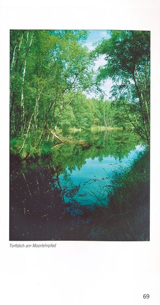 Datei:ML Gelbensander Forst 69.jpg