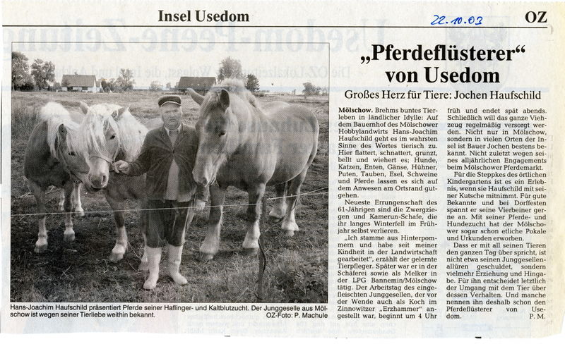 Datei:2003 Mölschow Pferde 1.jpg