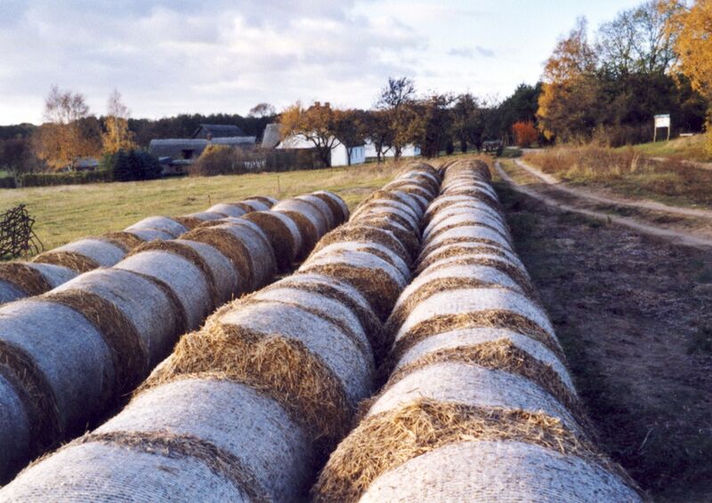Datei:2003 Richtung West.jpg