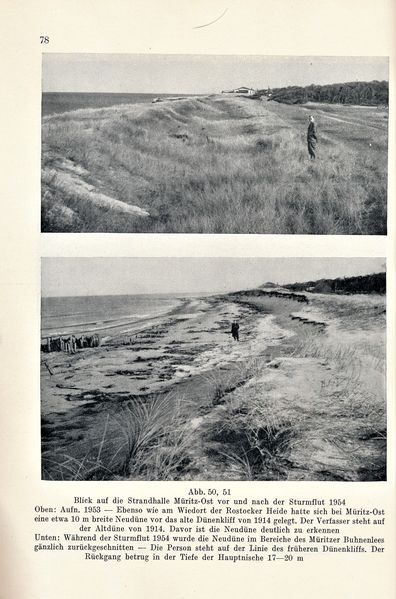 Datei:Kolp Nordöstliche Heide 0078.jpg
