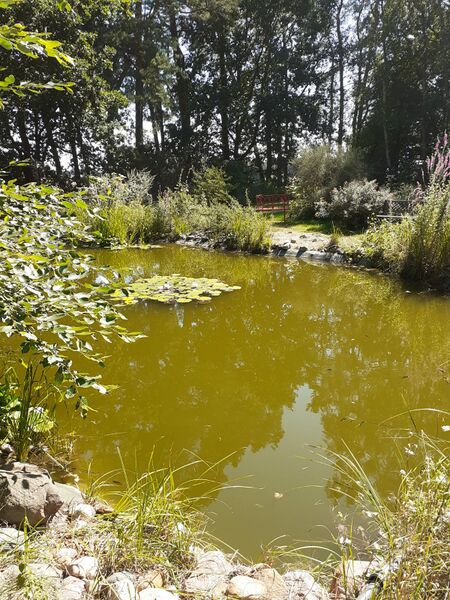 Datei:Prätenow Cafe 2.jpg