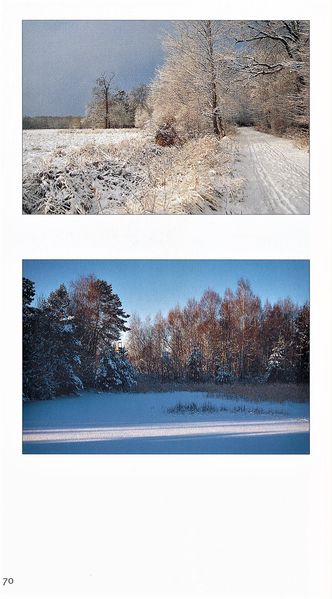 Datei:Rostocker Heide Meckl Landsch 70.jpg