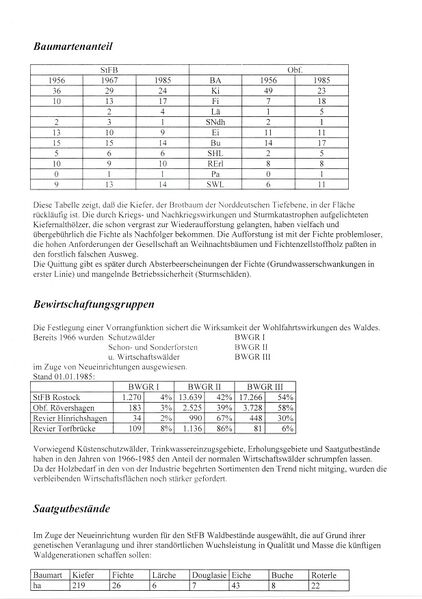 Datei:NHK Tabelle Baumartenanteil Bewirtschaffungsgruppen Saatgutbestände.jpg