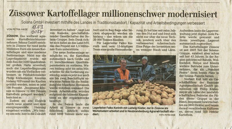 Datei:Züssow Kartoffeln 2024.jpg