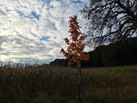 Impressionen 14