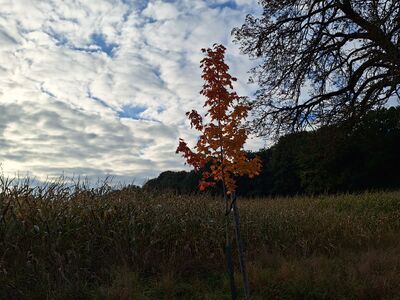 Impressionen 14