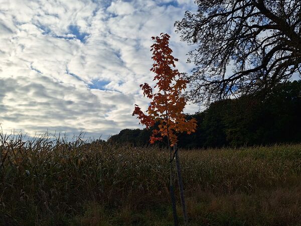 Impressionen 14