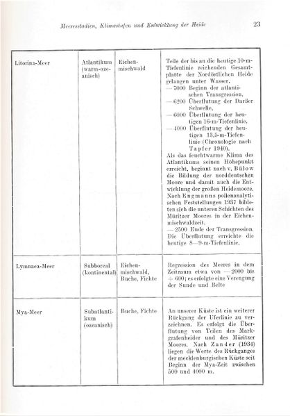 Datei:Kolp Nordöstliche Heide 0023.jpg