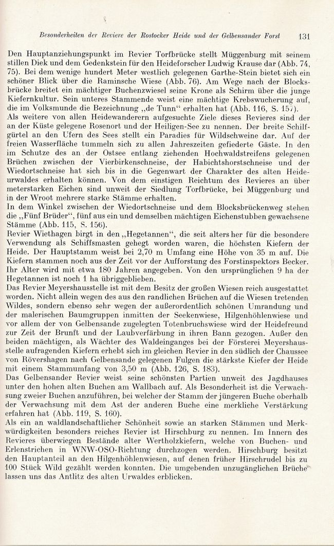 Otto Kolp NÖM 131