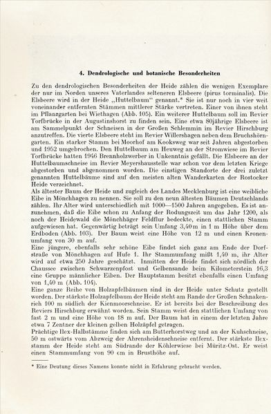 Datei:Kolp Nordöstliche Heide 0142.jpg