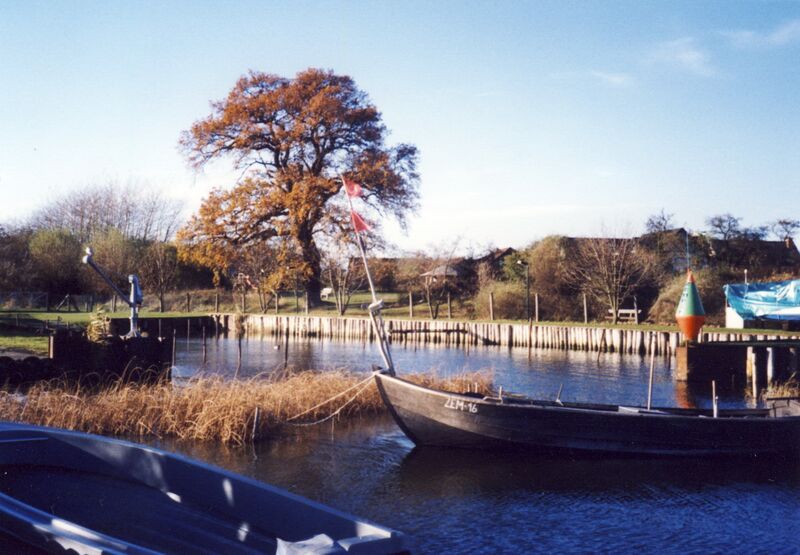 Datei:2004 Nov Eiche Hafenbecken.jpg