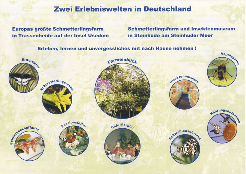 Datei:2005 Schmetterling Werbung 2.jpg