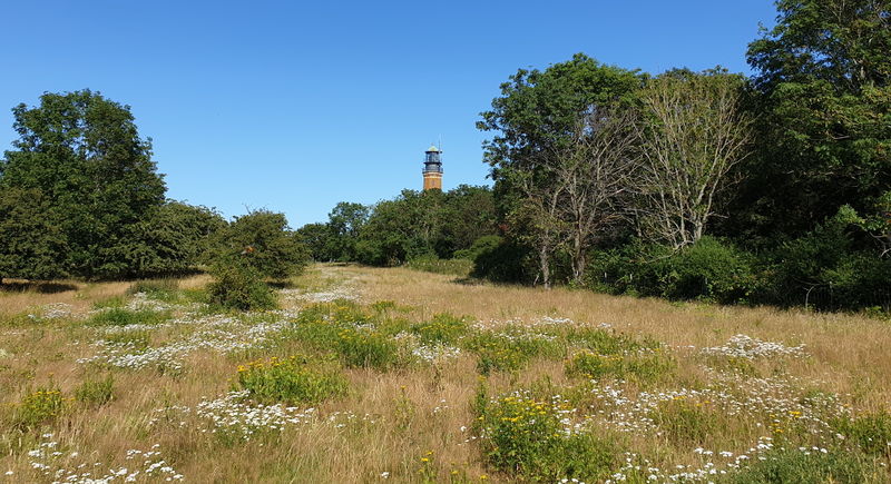 Datei:Greifswalder Oie 03.jpg