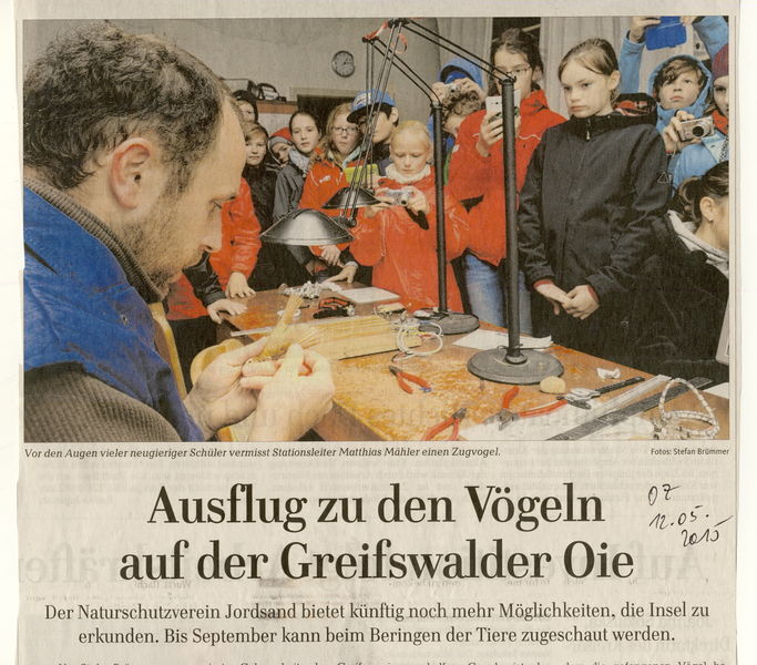 Datei:2015 Beringen ansehen 1.jpg