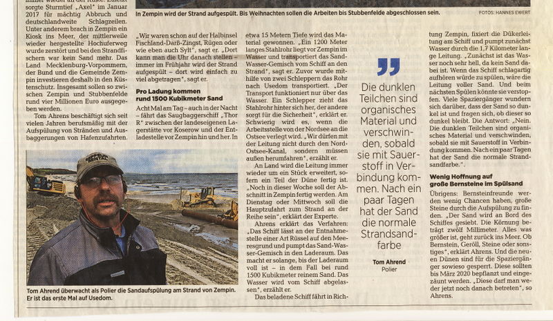 Datei:2019 Strandaufspülung 2.jpg