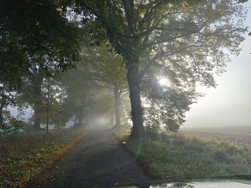 Datei:Eickelberg Impressionen 01.jpg