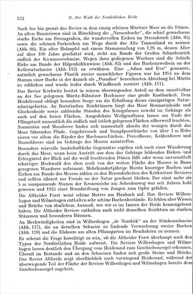 Datei:Kolp Nordöstliche Heide 0132.jpg