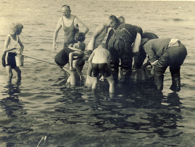 Datei:1938 Fischer 1.jpg