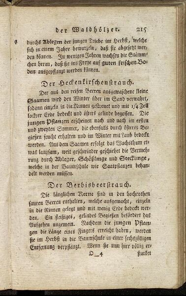 Datei:Fiedler Handbuch Forstwirtschaft 1796-224.jpg