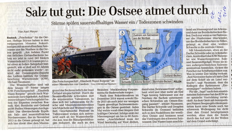 Datei:2016 Ostsee Salz.jpg