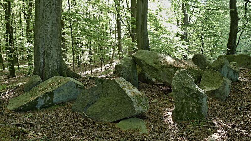 Datei:Hünengräber Herrenholz 2.jpg