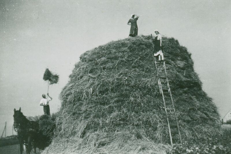 Datei:Heumiete.jpg