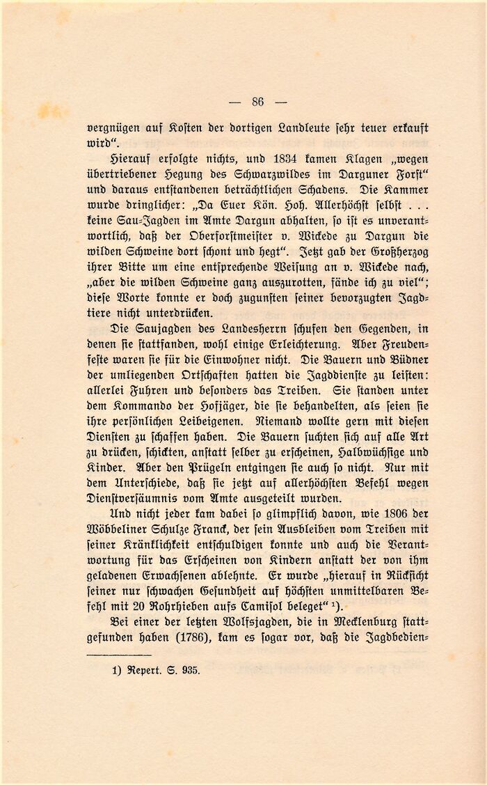 Witte Kulturbilder 1911 086