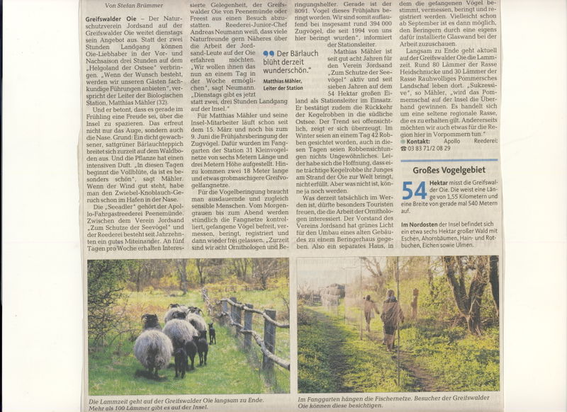 Datei:2015 Beringen ansehen 2.jpg