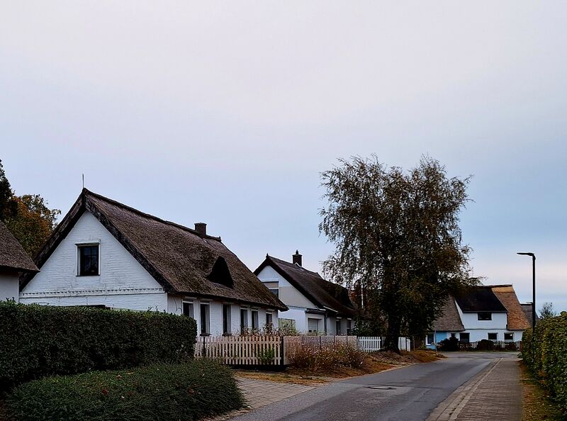 Datei:Zempin-Dorfstraße Herbst 2024.jpg