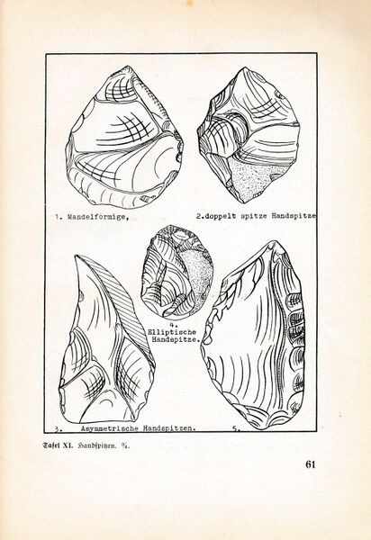 Datei:Fischland Bastian Boddenfund 061.jpg