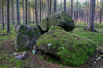 Hünengräber Sandkrug 1 1.jpg