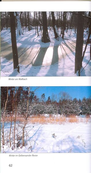 Datei:ML Gelbensander Forst 63.jpg