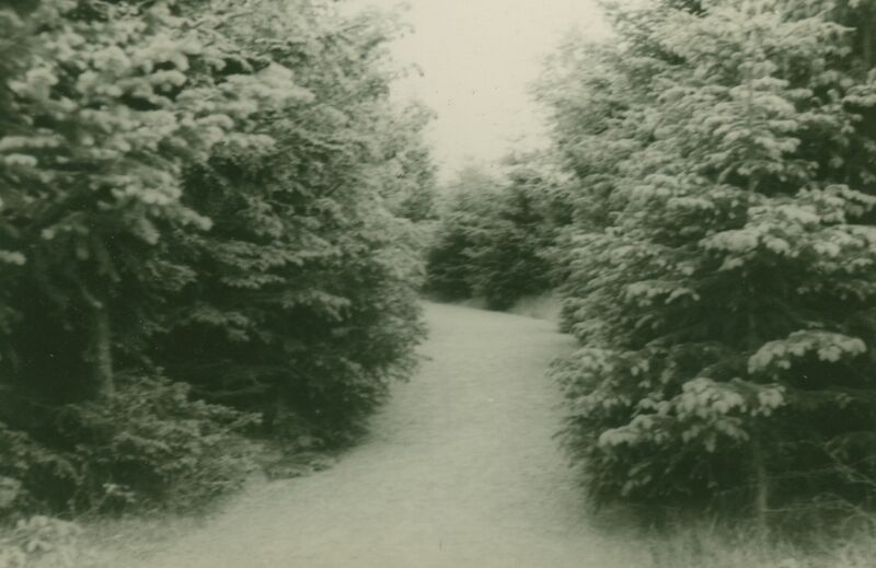Datei:Park.jpg