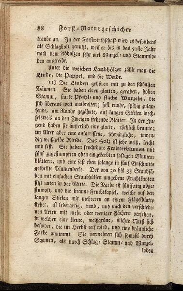 Datei:Fiedler Handbuch Forstwirtschaft 1796-097.jpg