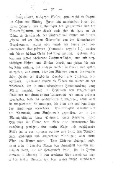 Datei:GM MW 37.jpg
