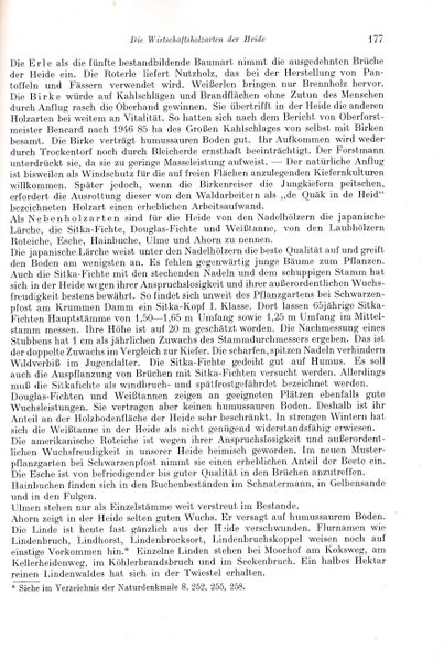 Datei:Kolp Nordöstliche Heide 0177.jpg