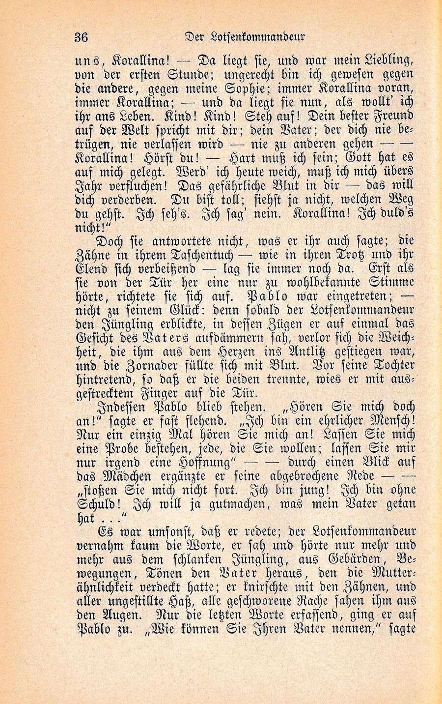 Wilbrandt Ausz Lotsenkommandeur 1877 36