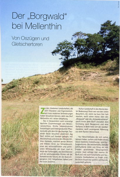 Datei:2005 Borgwald 1.jpg