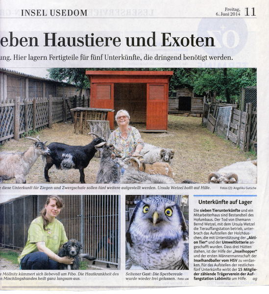 Datei:2014 Tiere 2.jpg