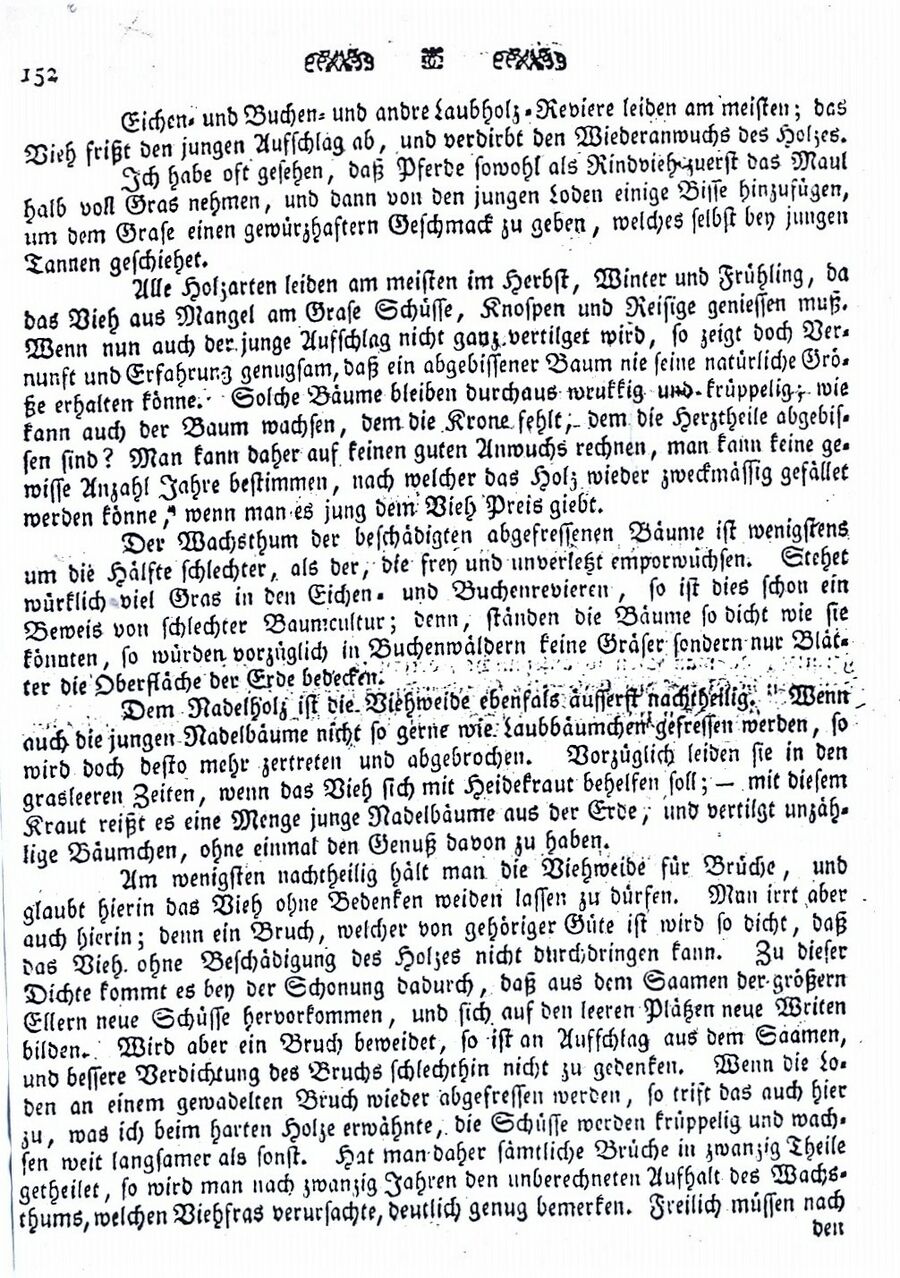 Becker von der Holzweide 1799 02