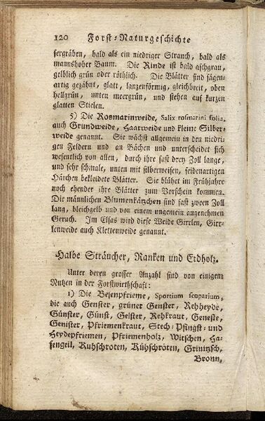 Datei:Fiedler Handbuch Forstwirtschaft 1796-129.jpg