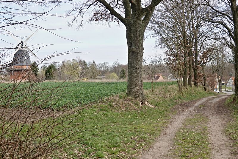 Datei:Goldenbow Mühle, Weg.jpg