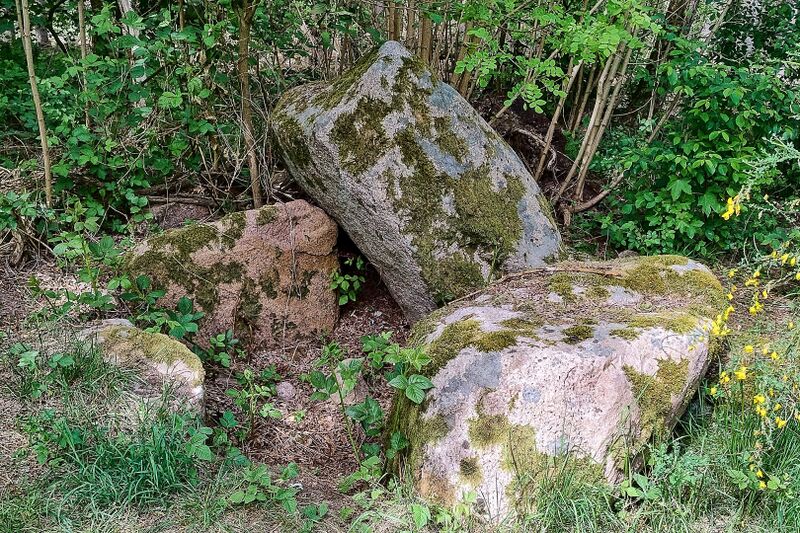 Datei:Hünengräber Wendhof 1.jpg