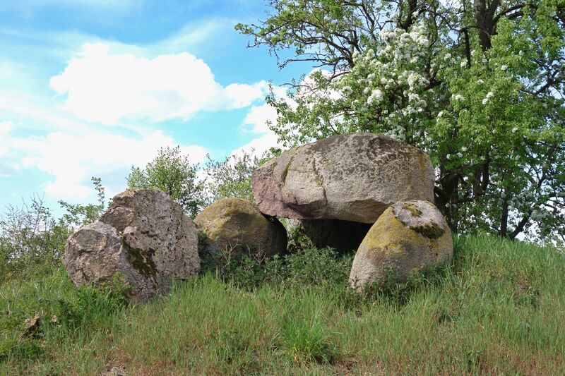 Datei:Hünengräber Wilsen 2.jpg
