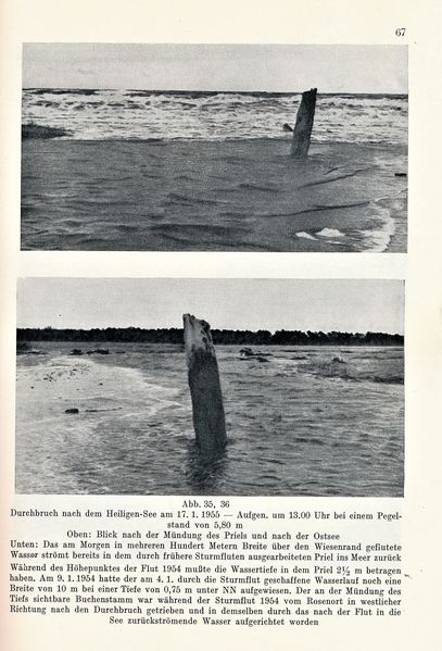 Datei:Kolp Nordöstliche Heide 0067.jpg