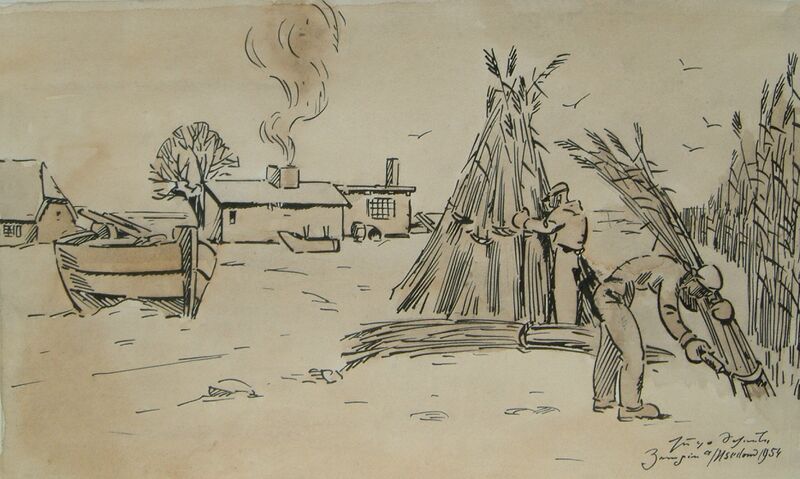 Datei:001 Schilf Zempin.jpg