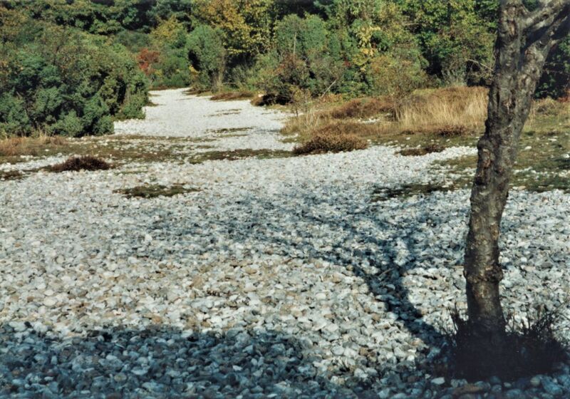 Datei:1996 Feuersteinfelder 3.jpg