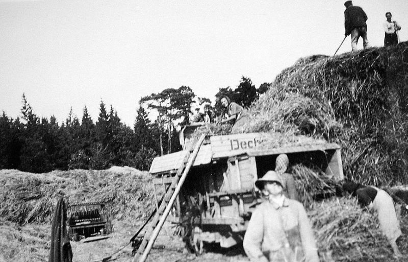 Datei:Glash264.jpg
