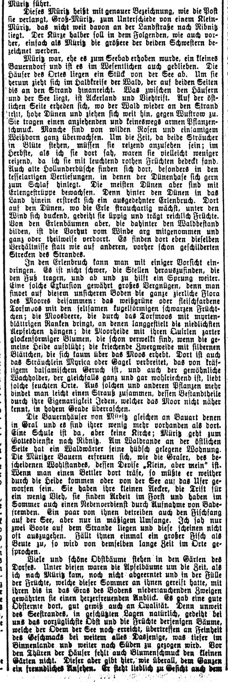 RH J_Trojan Aus der Rostocker Heide 1884 09